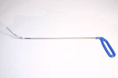 P126L